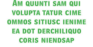 Am quunti sam qui volupta tatur cime ommos sitiusc ienime ea dot derchiliquo coris niendsap