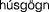 Polygon